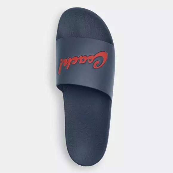 Coach slides - Picture 4 of 4